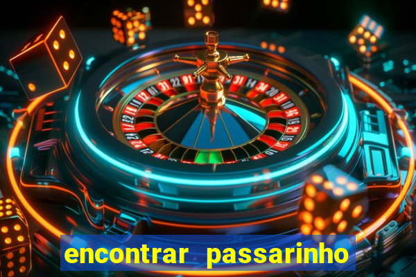 encontrar passarinho morto significado